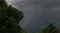 extreme weather super slo mo extreme day lightning strikes behind palm 3 HD-videomateriaal