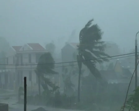 Extreme Winds As Hurricane Hits Stock Footage 280059
