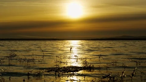 Extremely beautiful cloudy sunset on the lake. Ice on the coastal vegetation. Video stock 320514194
