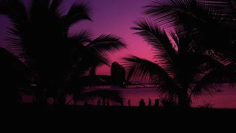 Extremely beautiful sunset under the coconut plams on China beach. Stock Photos