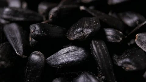 Extremely close-up, detailed. a bunch of black seeds. Stock Footage 152137104