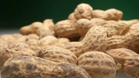 Extremely close-up, detailed. peanuts in shells on a dark background Stock Footage 145281555