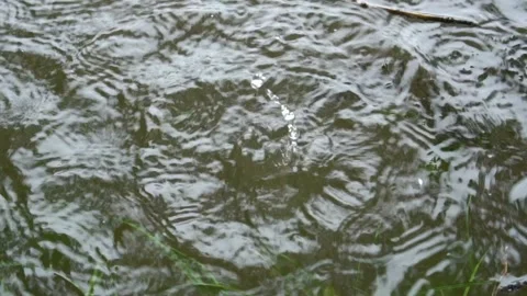 Extremely Dark Stock Videos Royalty Free HD 4K Videos Pond5