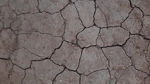 Extremely dry and cracked soil surface Stock Footage 284441470