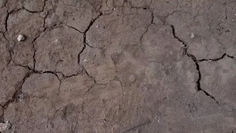 Extremely dry and cracked soil surface Stock Footage 284441489