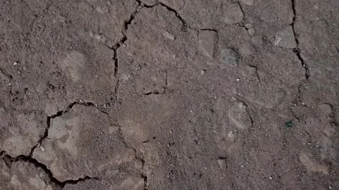 Extremely dry and cracked soil surface Stock Footage 284441505