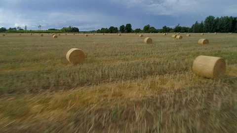 Extremely low aerial between hay bales on a freshly harvested field Vidéo 93634040