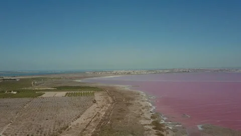 Extremely salty pink lake, colored by microalgae with crystalline salt Stock Footage 223379151