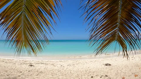 Extremely wild and quiet beach in Saona Island, El Torro Beach Stock Footage 194900826