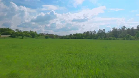 Extremly close flying along the green young wheat field at spring sunny day by Stock Footage 143728823