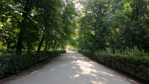 Exuberant vegetation and freshness in summer in the huge Retiro Park, Madrid Stock Footage 336892043