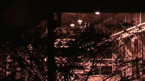 Exxon Mobil gas processing plant at night with bats in the light 動画素材 11760049