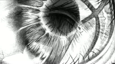 Eye 021 - VJ Loops - Strobe Drawing Black &amp; White Stock Footage 22150652