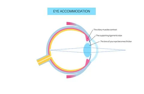 Eye accommodation poster Stock Illustration