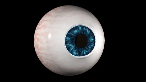 Eye Anatomy 스톡 동영상 121978495