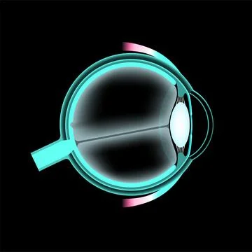 Eye anatomy poster Stock Illustration