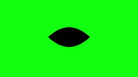 Eye animation on green screen background Видео 335524121
