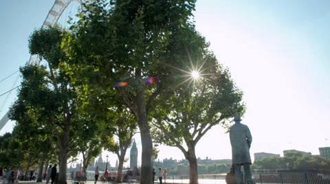 Eye Behind Trees Stock Footage 37450774