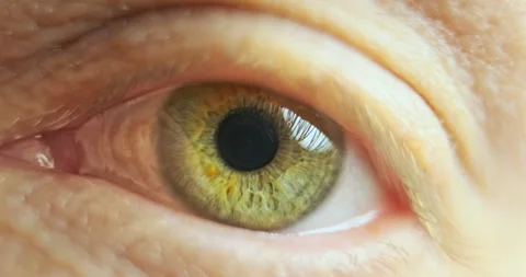 Eye blinks and looks at the camera, close-up macro Vídeo Stock 270231062