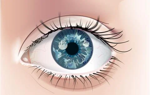 Eye-Blue Stock Illustration