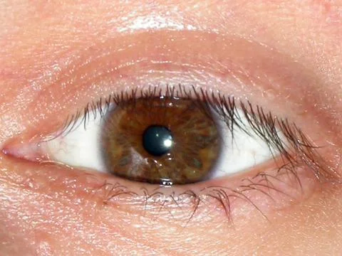 Eye of boy Stock Photos