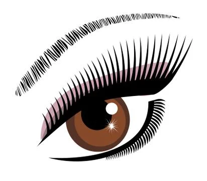 Eye brown vector Stock Illustration