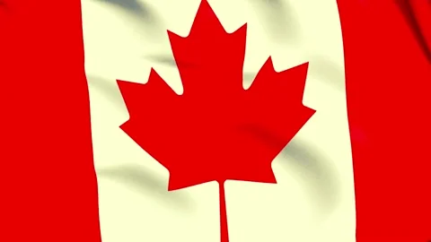 Eye-Catching 4K Video of Canada’s National Flag for All Purposes 動画素材 295668743