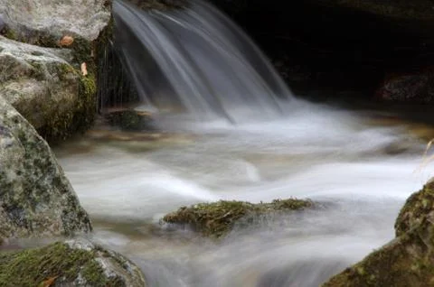 An eye-catching and refreshing forest stream Stock Photos