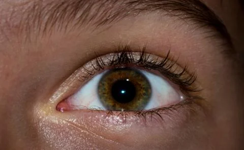 The eye of a child Stock Photos
