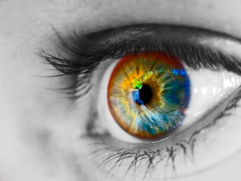 Eye Close Up 1 Stock Photos