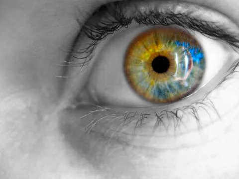Eye Close Up 2 Stock Photos