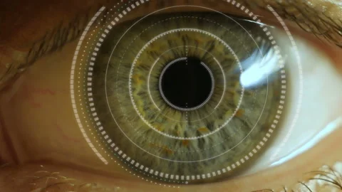 Eye close up with the advent of computer data. Vídeo Stock 101102639