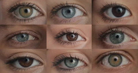 Eye close-up collage Stock Footage 201539352