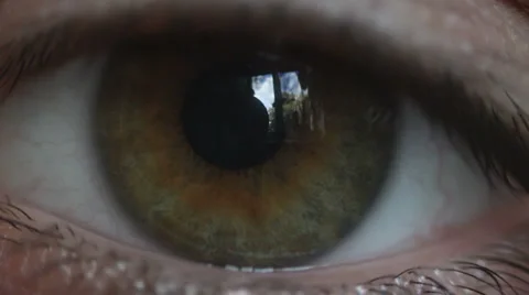 Eye, a close up Stockbeeldmateriaal 904331