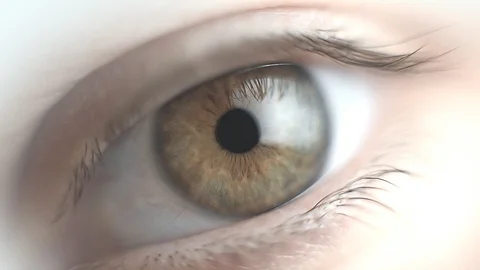 Eye close-up Video stock 130065064