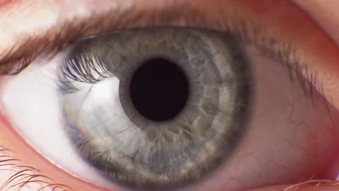 Eye close up. Macro shooting Stock Footage 105851298