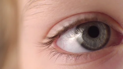 Eye close up. Macro shooting Stock Footage 105851843