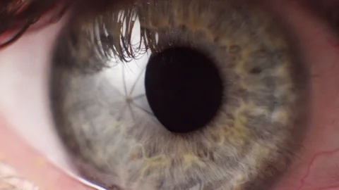 Eye close up. Macro shooting Stock Footage 105852228