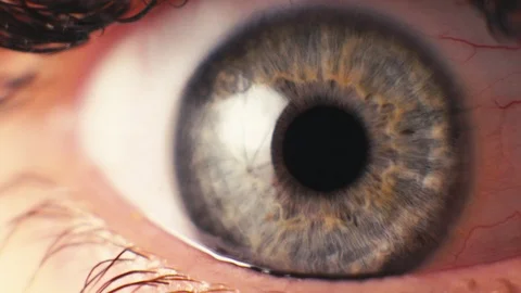 Eye close up. Macro shooting Stock Footage 105853331