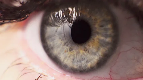 Eye close up. Macro shooting Stock Footage 105853767