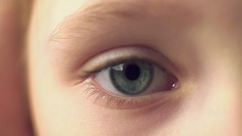 Eye close up. Macro shooting Stock Footage 105854302