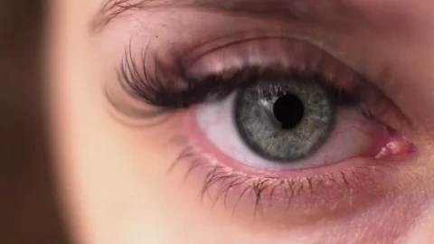 Eye close up. Macro shooting Stock Footage 105854688