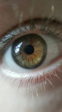Eye close up Stock Photos