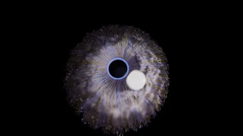Eye Closeup with Abstract Iris Texture and Light Reflection in Macro Detail 库存影片 331110098