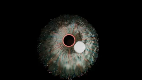 Eye Closeup Animation Featuring a Circular Iris Pattern and Moving White Dot Stock Footage 331110105