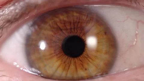 Eye closeup with data and code Stock Footage 236949757