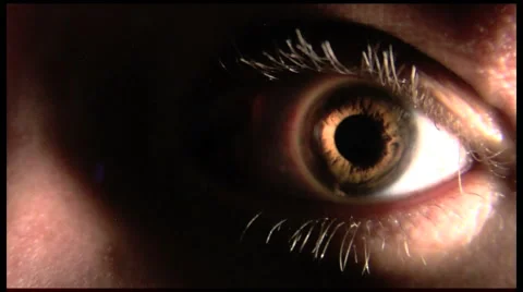 Eye closeup Stock Footage 1095520