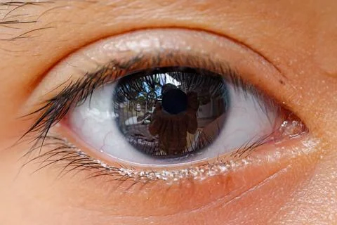 Eye Closeup Macro with Pupil Reflection in Outdoor Setting Foto stock