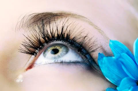 The eye closeup Stock Photos