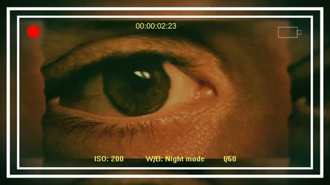 Eye collage with camera screen overlay Stock Footage 115877005